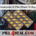 Anaconda Xl Pills Where To Buy cialis2